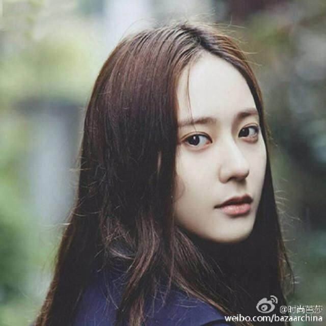 成人视频 最新2